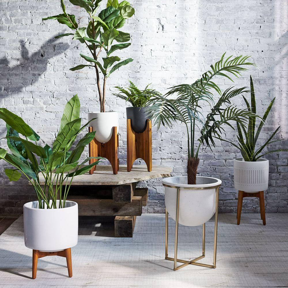 West elm cheap plant stand